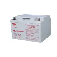 汤浅YUASA 免维护铅酸蓄电池12V38Ah NP38-12H(含配件)块