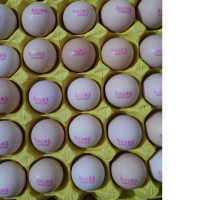 鼎尚谷粮蛋360枚/箱