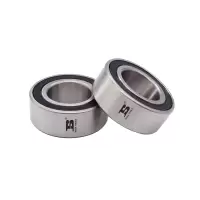 波斯(BOSI)双排滚珠轴承(6206-2RS BST21991)只