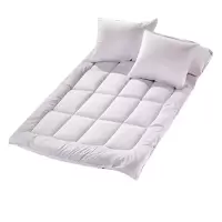 汉司家纺 HANSI-27 90*200cm 床垫(计价单位:件) 纯白色