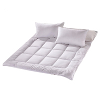 汉司家纺 HANSI-28 120*200cm 床垫(计价单位:件) 纯白色
