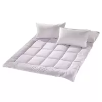 汉司家纺 HANSI-28 120*200cm 床垫(计价单位:件) 纯白色