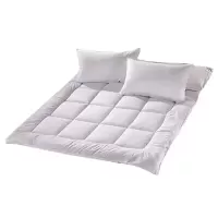 汉司家纺 HANSI-29 150*200cm 床垫(计价单位:件) 纯白色