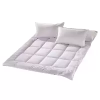 汉司家纺 HANSI-30 180*200cm 床垫(计价单位:件) 纯白色