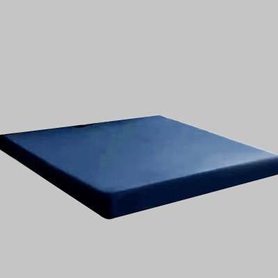 汉司家纺 HANSI-25 180*200cm 褥子(计价单位:件)蓝色