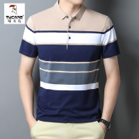 啄木鸟爸爸夏季短袖t恤中年人男装上衣中年男士休闲条纹polo衫潮
