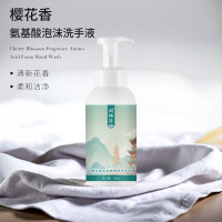 风待月 樱花香氨基酸泡沫洗手液500ml