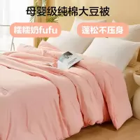 安琪尔家纺铂金大豆被春秋被保暖被芯双人被200*230