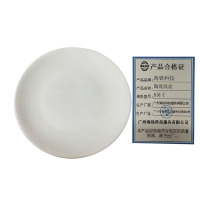 海铁科技陶瓷浅盘8英寸/个