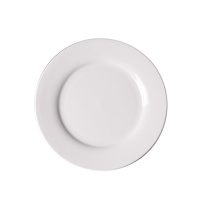 海铁科技骨碟6英寸/个