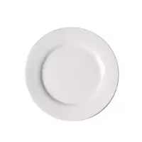 海铁科技骨碟6英寸/个