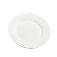 海铁科技骨碟8英寸/个