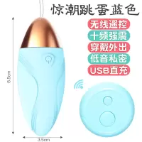 惊潮跳蛋-蓝色 久爱女性无线遥控跳蛋女用穿戴震动自慰器成人情趣性用品厂家成人情趣用品