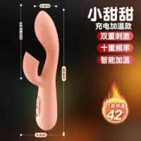 小甜甜-充电粉色 久爱小仙女震动棒女自慰器g潮点按摩av棒蝴蝶成人情趣玩具性用品成人情趣用品