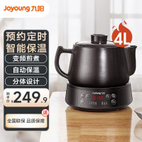 煎药壶中药壶中药锅养生壶熬中药电砂锅全自动药罐中药煲药壶电药锅 4升DGD4003BQ