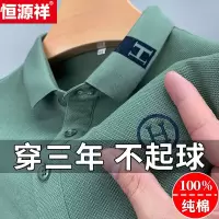 恒源祥夏季男士短袖T恤翻领高端刺绣纯棉POLO衫男宽松休闲上衣潮