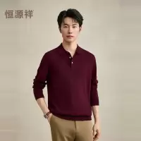 [睿织系列]恒源祥纯羊毛秋冬毛衣男士精纺羊毛衫Polo领可机洗