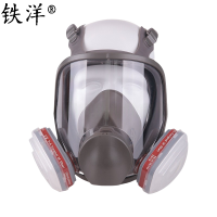 铁洋 呼吸防护面罩 TY-HX001 套