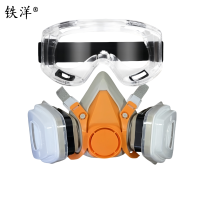 铁洋 呼吸防护面罩 TY-HX010 套