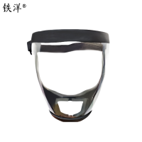 铁洋 呼吸防护面罩 TY-HX011 个