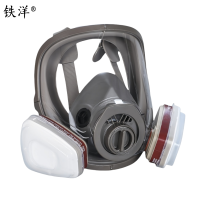 铁洋 呼吸防护面罩 TY-HX012 套