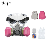 铁洋 呼吸防护面罩 TY-HX019 套