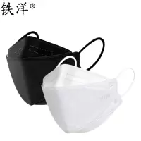 铁洋 挂耳式口罩 KN95 10个/包