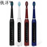 铁洋 电动牙刷 EB511 个