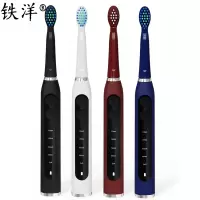 铁洋 电动牙刷 EB511 个