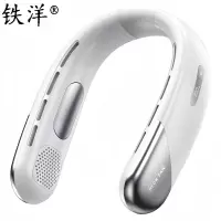 铁洋 风扇 数显挂脖风扇 N25标准款 个