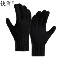 铁洋 可触屏冬季保暖手套 棉手套 羊驼绒针织加厚-01 双