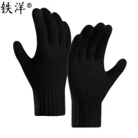 铁洋 可触屏冬季保暖手套 棉手套 羊驼绒针织加厚-01 双