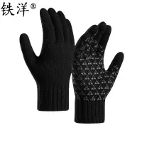 铁洋 可触屏冬季保暖手套 棉手套 羊驼绒针织加厚-02 双