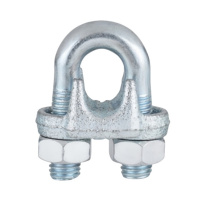 铁洋 镀锌钢丝绳卡头 M20 个