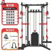 康力强小飞鸟龙门架综合训练器家用室内家庭多功能健身器材卧推深蹲架[豪华款小飞鸟(75kg环保配重)]