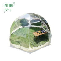 劲脉  星空透明帐篷 450*450*230cm 顶