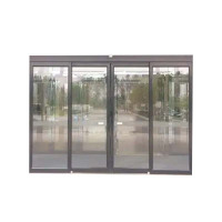 天虎 自动感应玻璃门 TH-ZDGYBLM01 平方米