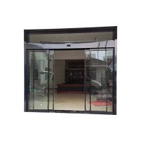 天虎 自动感应玻璃门 TH-ZDGYBLM04 平方米