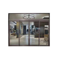 天虎 自动感应玻璃门 TH-ZDGYBLM05 平方米