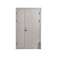 天虎 钢质防火门 乙级子母防火门(安装款) 平方米
