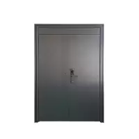天虎 防盗门 对开2050*1780(安装款) 个