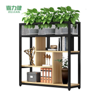 喜力健 铁艺花架 浅湖桃黑架-80CM 个