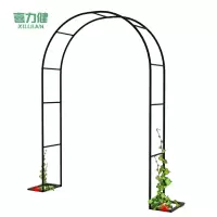 喜力健 铁艺拱门花架 1.2*2.2*0.4M 个