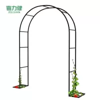 喜力健  铁艺拱门花架 2.4*2.5*0.4M 个