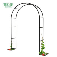 喜力健 铁艺拱门花架 2.8*2.5*0.4M 个