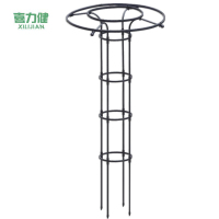 喜力健 伞形花架 单圈-20*20*高155CM个