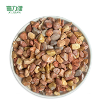 喜力健 黄色砾石 0.4CM*0.6CM 袋