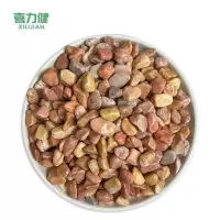 喜力健 黄色砾石 0.4CM*0.6CM 袋