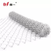 围一 勾花网 孔径50*50mm 平方米