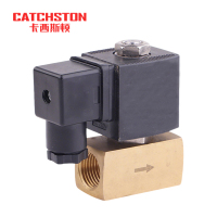 卡西斯顿 活塞式电磁阀 AC220V 个